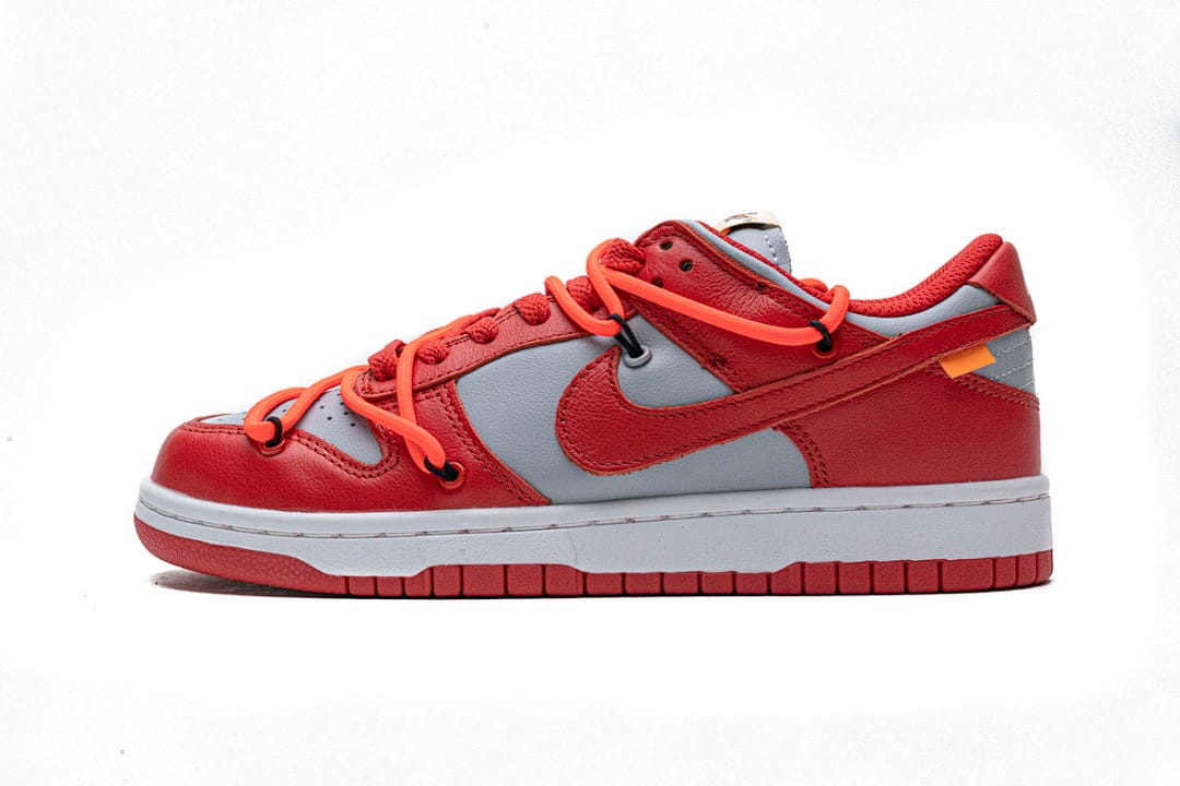 Nike Dunk Low SB SX Edition (Colorway 19)