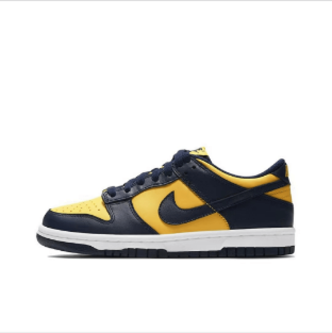Nike Dunk Low SB AA Edition (Colorway 5)