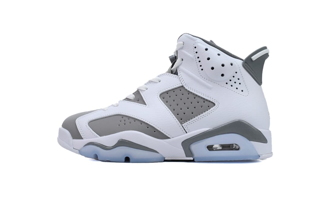 Air Jordan 6 Essential Chameleon