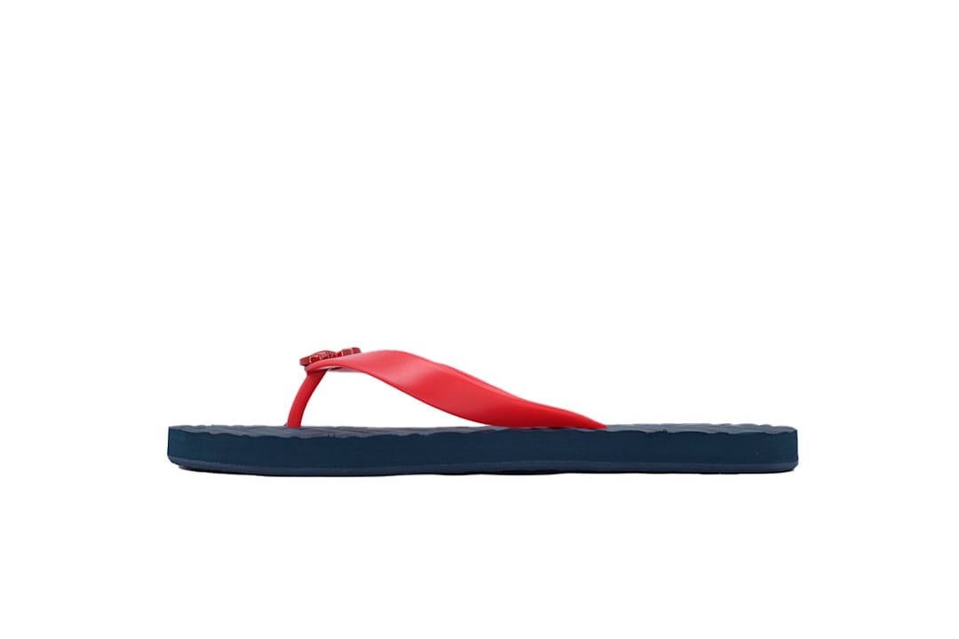 Gucci Flip Flop Double G Blue Red