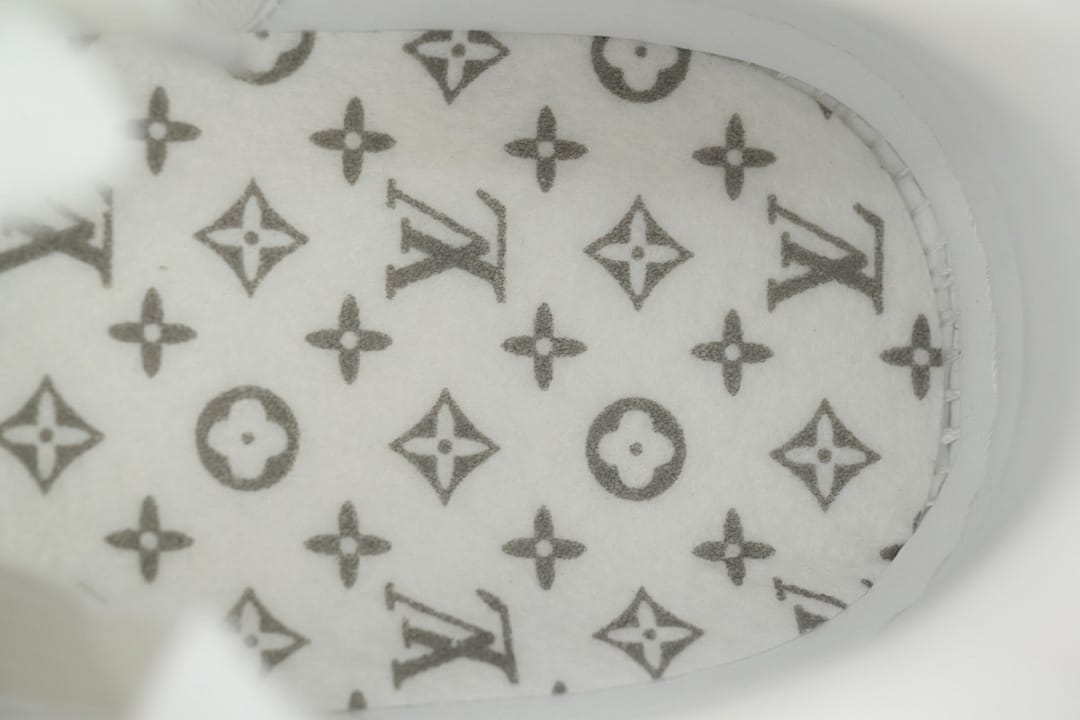 Louis Vuitton LV Trainer Brown White