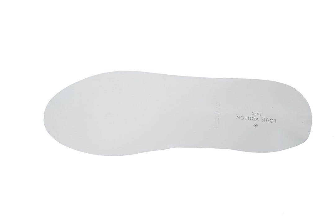 Louis Vuitton LV Archlight Sneakers (Colorway 5)