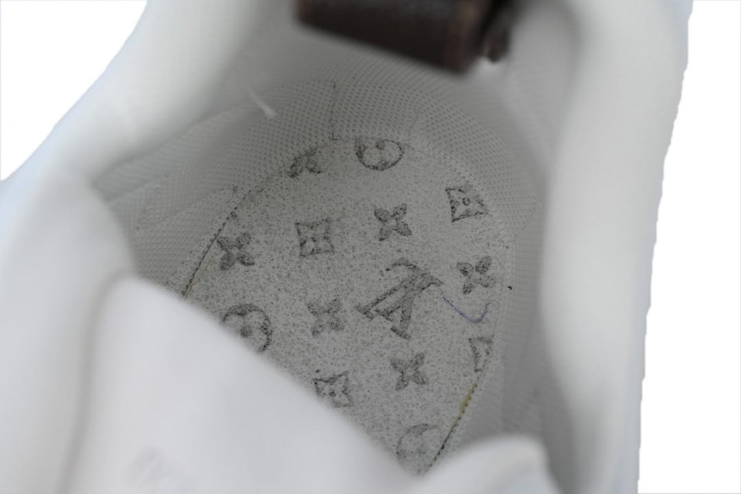 Louis Vuitton LV Archlight Sneakers (Colorway 3)