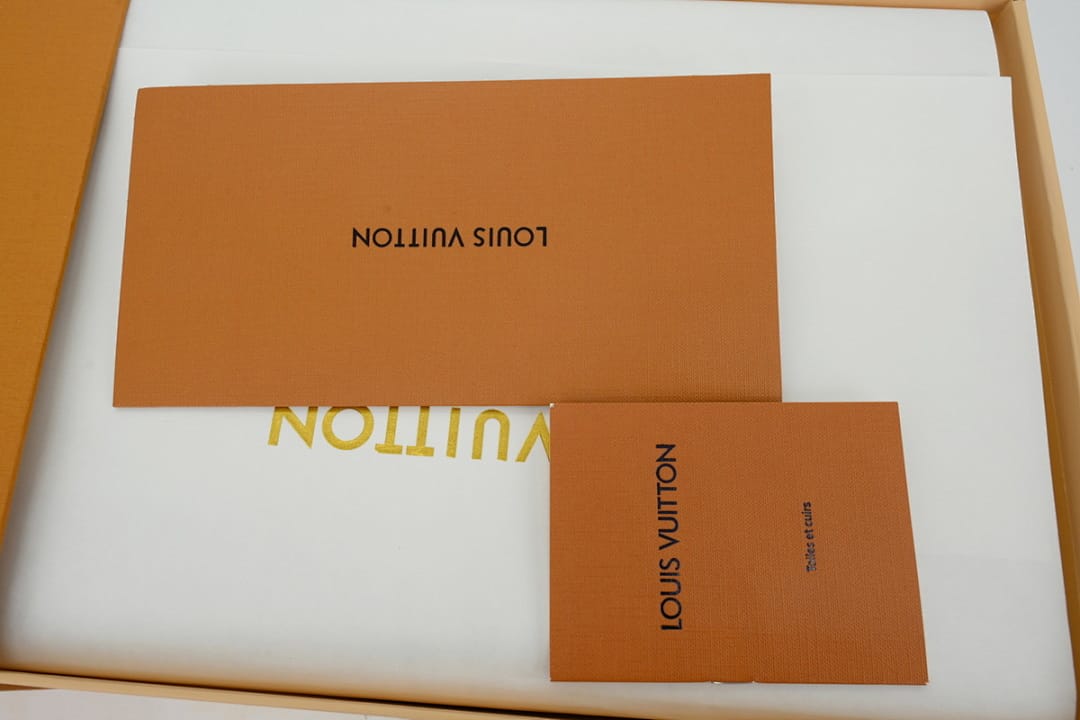 Louis Vuitton LV SK8 Brown White