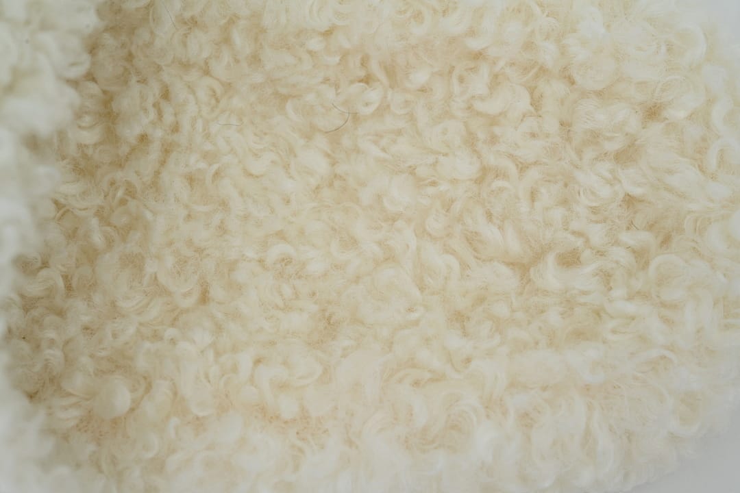 Balenciaga Wool Strap Slippers White Coke Label