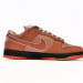 Nike Dunk Low SB SX Edition Orange Lobster