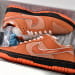 Nike Dunk Low SB SX Edition Orange Lobster