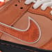 Nike Dunk Low SB SX Edition Orange Lobster