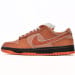Nike Dunk Low SB SX Edition Orange Lobster