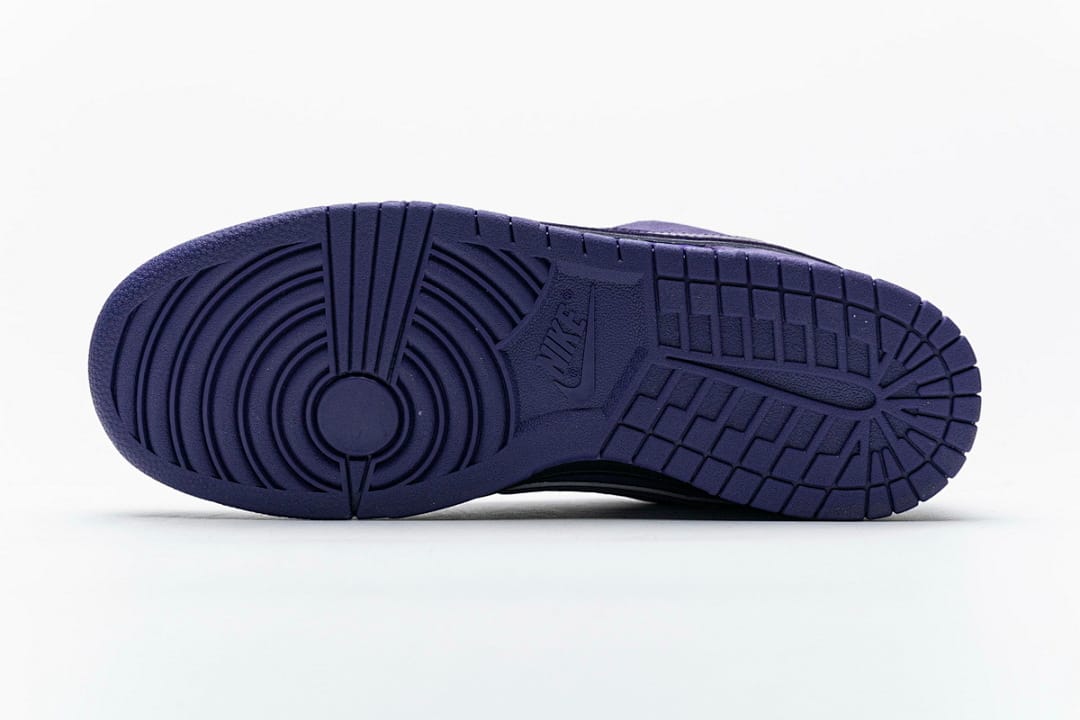 Nike Dunk Low SB SX Edition (Colorway 22)