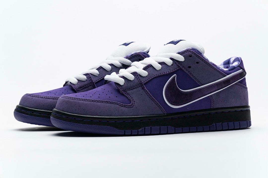 Nike Dunk Low SB SX Edition (Colorway 22)