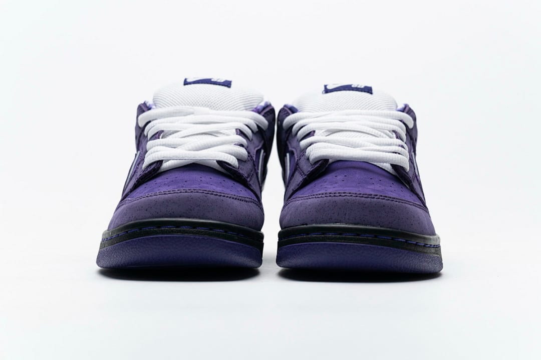 Nike Dunk Low SB SX Edition (Colorway 22)