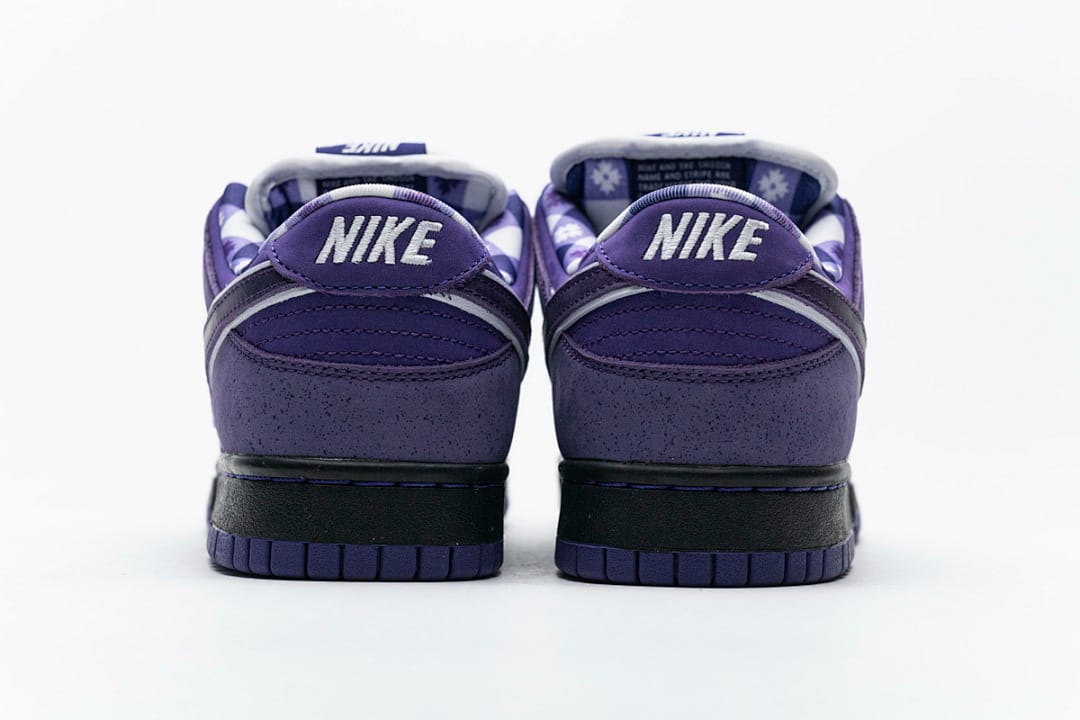 Nike Dunk Low SB SX Edition (Colorway 22)