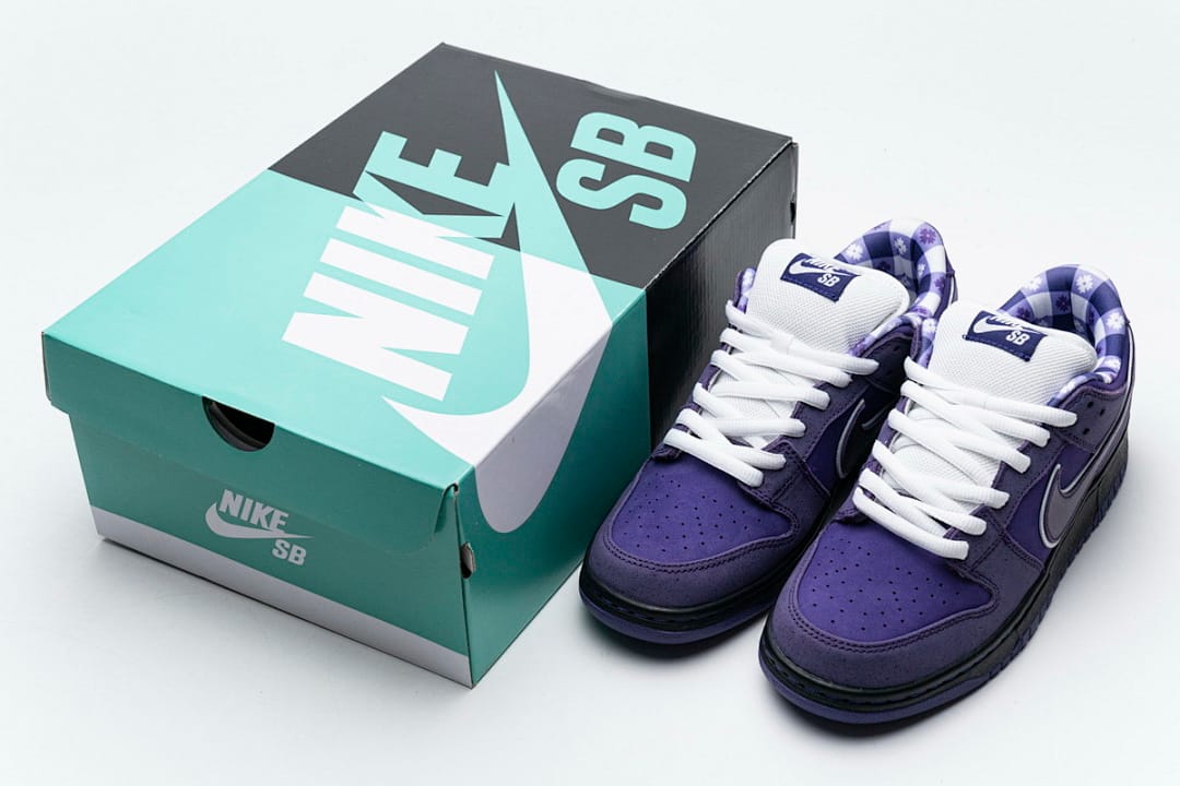 Nike Dunk Low SB SX Edition (Colorway 22)