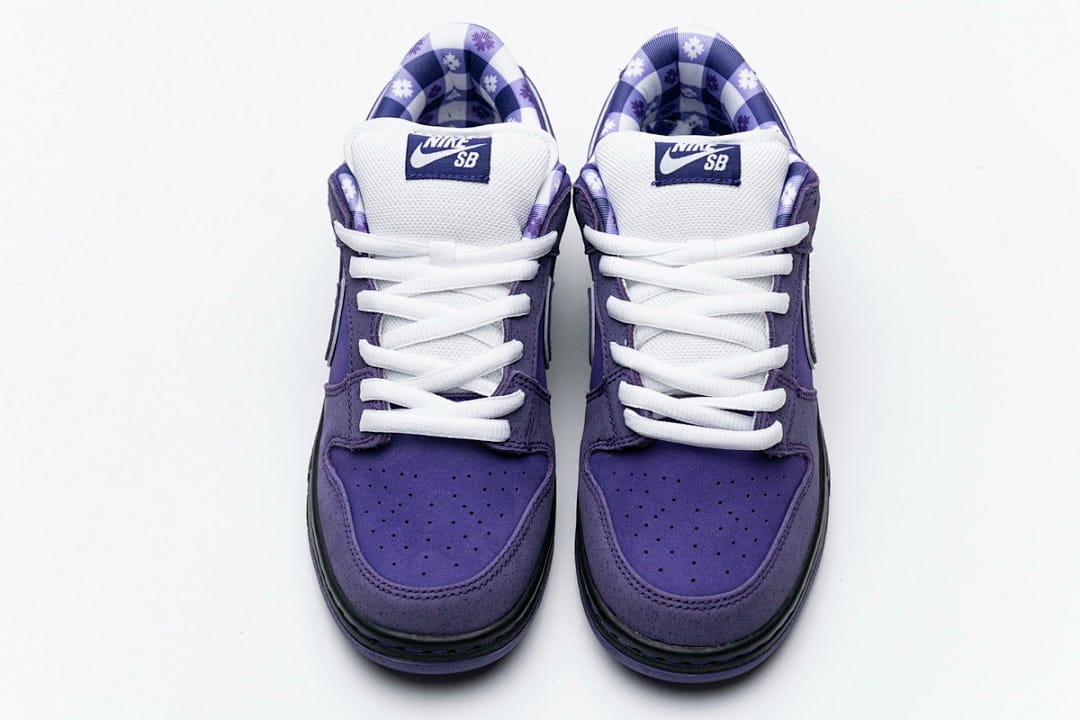 Nike Dunk Low SB SX Edition (Colorway 22)