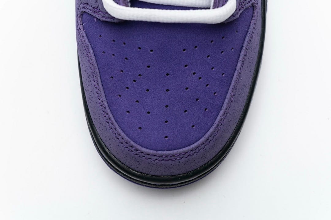 Nike Dunk Low SB SX Edition (Colorway 22)