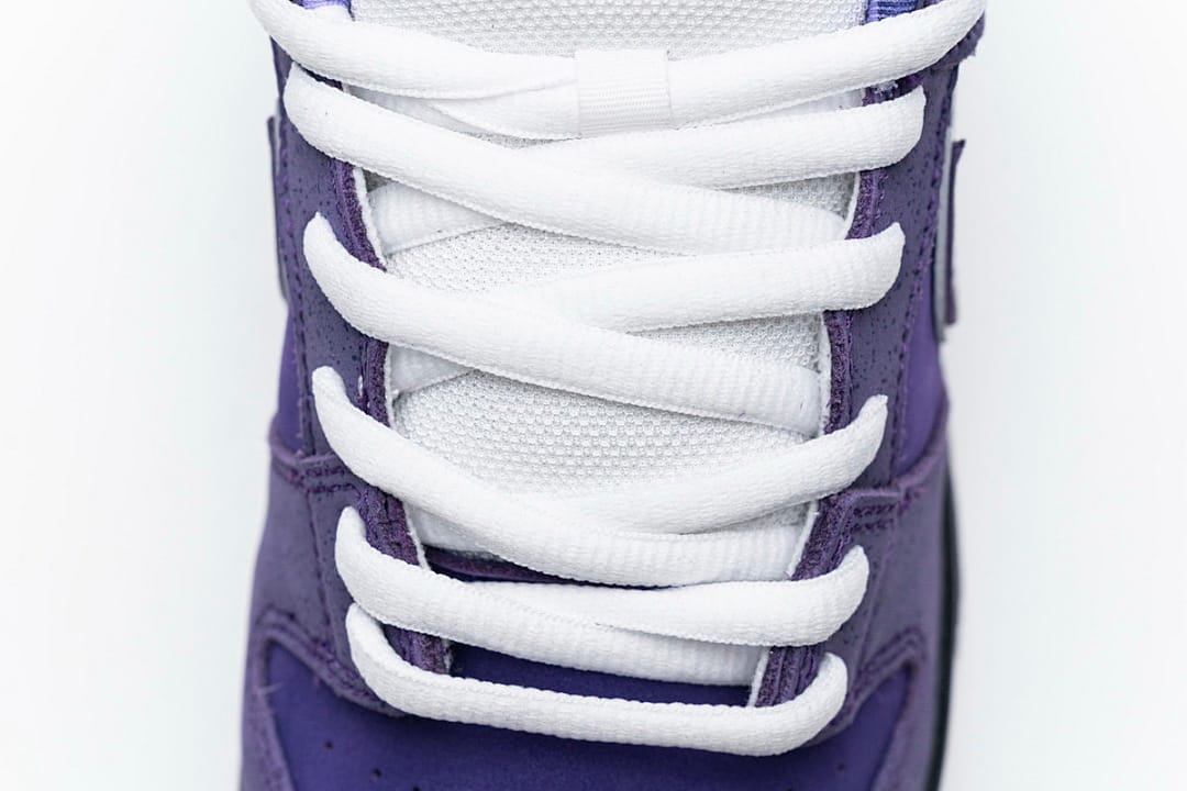 Nike Dunk Low SB SX Edition (Colorway 22)