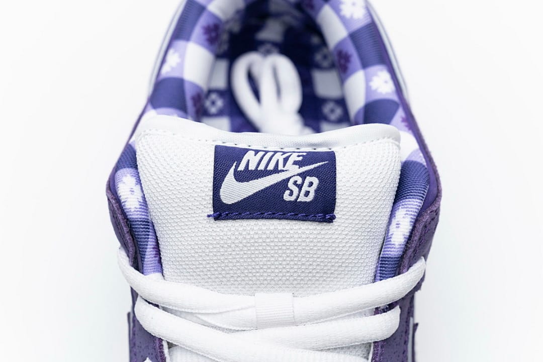 Nike Dunk Low SB SX Edition (Colorway 22)