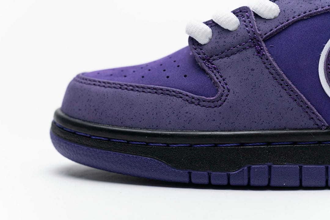 Nike Dunk Low SB SX Edition (Colorway 22)