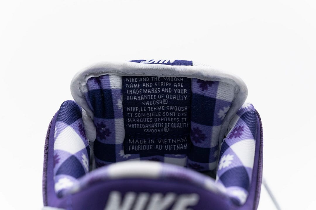 Nike Dunk Low SB SX Edition (Colorway 22)