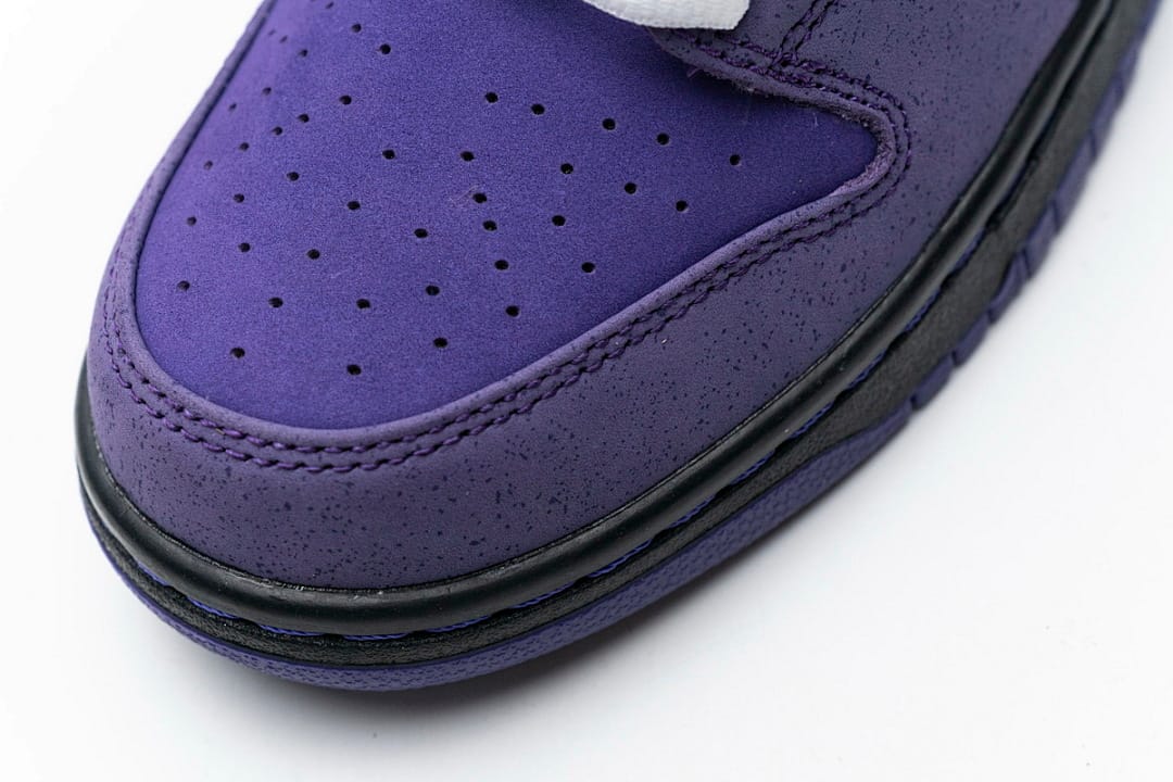 Nike Dunk Low SB SX Edition (Colorway 22)
