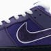 Nike Dunk Low SB SX Edition (Colorway 22)
