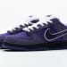 Nike Dunk Low SB SX Edition (Colorway 22)