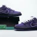 Nike Dunk Low SB SX Edition (Colorway 22)