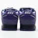 Nike Dunk Low SB SX Edition (Colorway 22)