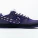 Nike Dunk Low SB SX Edition (Colorway 22)