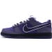 Nike Dunk Low SB SX Edition (Colorway 22)