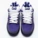 Nike Dunk Low SB SX Edition (Colorway 22)