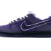 Nike Dunk Low SB SX Edition (Colorway 22)