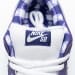 Nike Dunk Low SB SX Edition (Colorway 22)