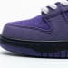 Nike Dunk Low SB SX Edition (Colorway 22)