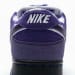 Nike Dunk Low SB SX Edition (Colorway 22)