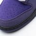 Nike Dunk Low SB SX Edition (Colorway 22)