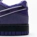 Nike Dunk Low SB SX Edition (Colorway 22)