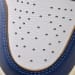 Air Jordan 1 Retro High OG Blue Toe (Colorway 6)