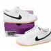 Nike Dunk Low SB SX Edition ’White gum