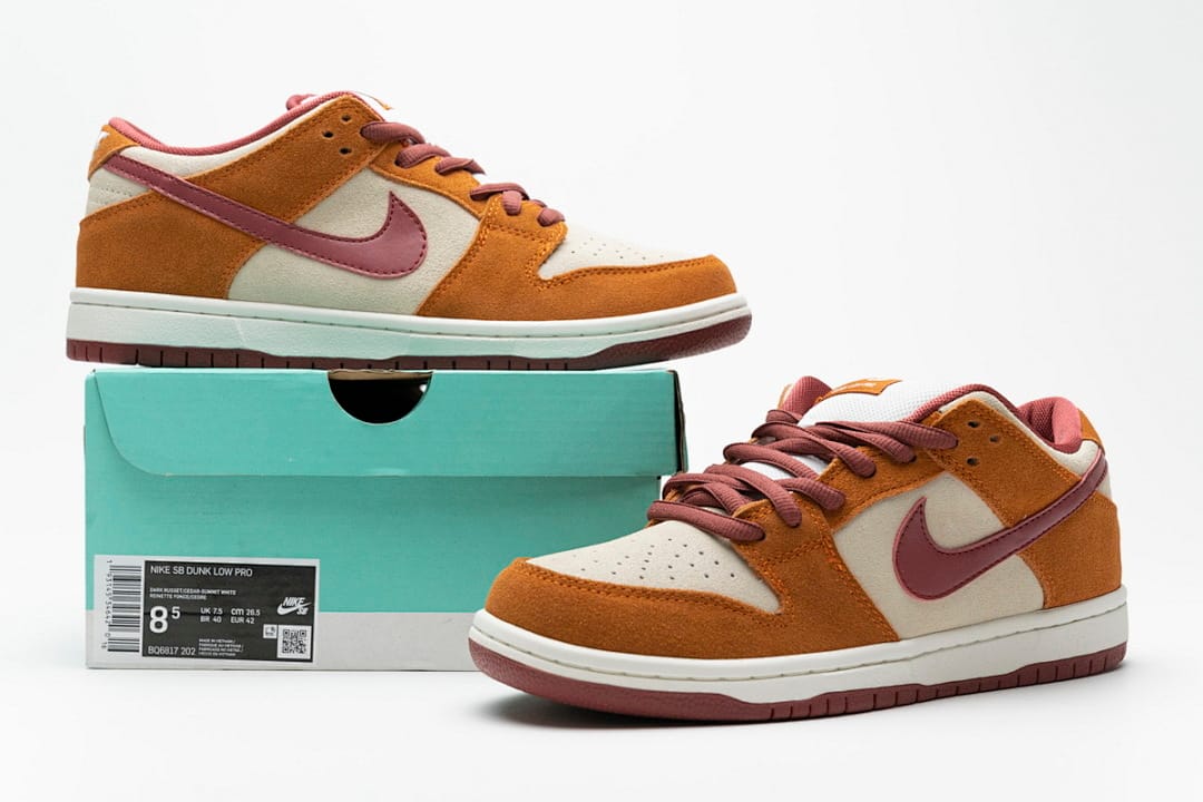 Nike Dunk Low SB SE SX Edition Brown