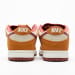 Nike Dunk Low SB SE SX Edition Brown