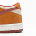 Nike Dunk Low SB SE SX Edition Brown