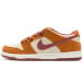 Nike Dunk Low SB SE SX Edition Brown