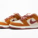 Nike Dunk Low SB SE SX Edition Brown
