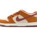 Nike Dunk Low SB SE SX Edition Brown