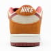 Nike Dunk Low SB SE SX Edition Brown