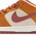Nike Dunk Low SB SE SX Edition Brown