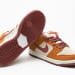 Nike Dunk Low SB SE SX Edition Brown