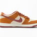 Nike Dunk Low SB SE SX Edition Brown